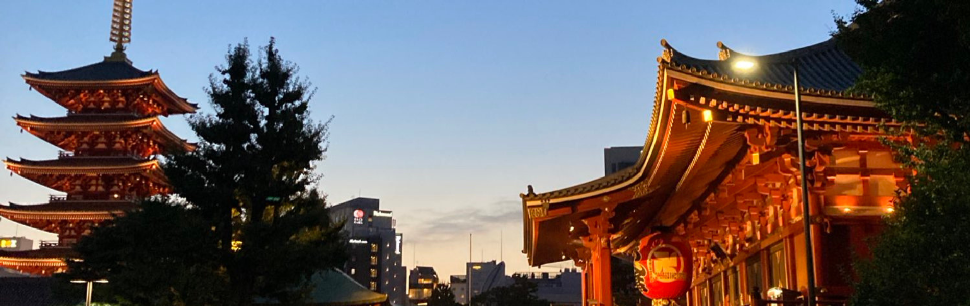 空を鳥が駆けめぐるように速く効果的なPRをする。 鳥が空を飛ぶように世に広くコピーを届ける。 PRと広告を一気通貫で実施いたします